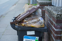 Volle Biotonne mit Plastiksäcken